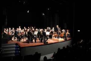 LetniFestiwal.pl, Letni Festiwal Muzyczny Kutno 2010 kameralna_orkiestra_festiwalowa.jpg